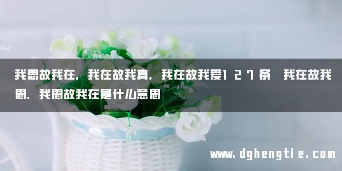 我思故我在,我在故我真,我在故我爱127条 我在故我思,我思故我在是什么意思